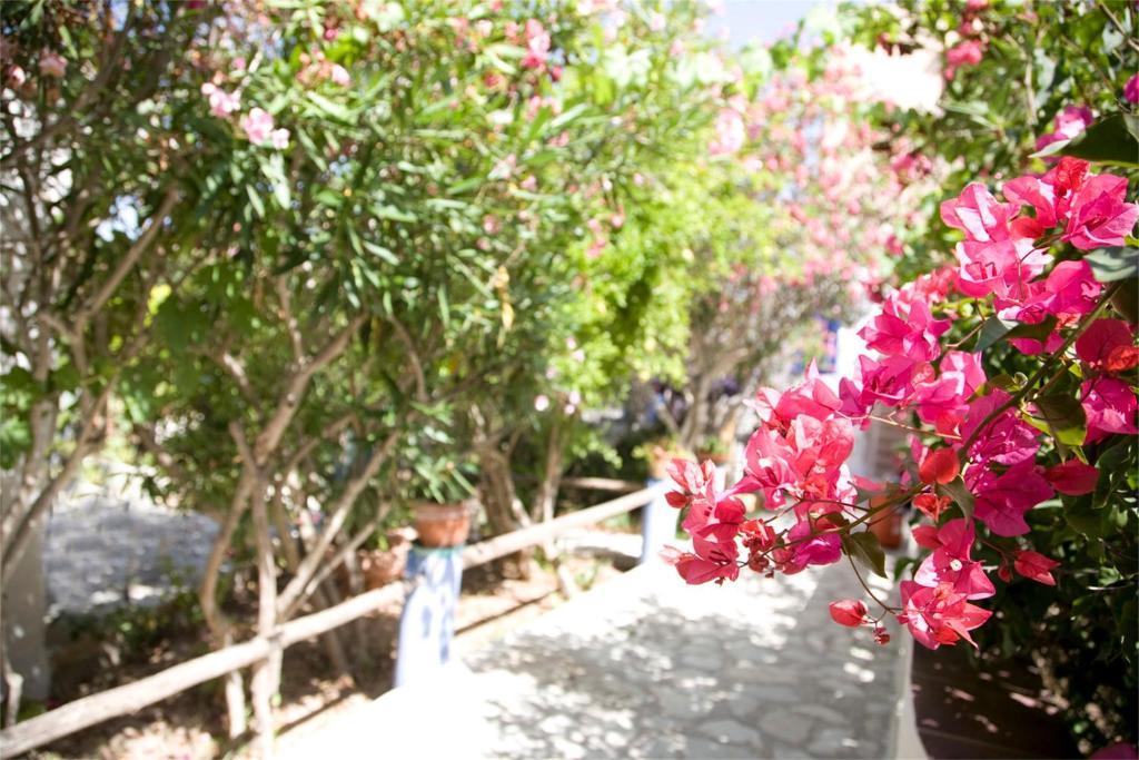 L'Oasi Villaggio Albergo Φαβινιάνα Εξωτερικό φωτογραφία