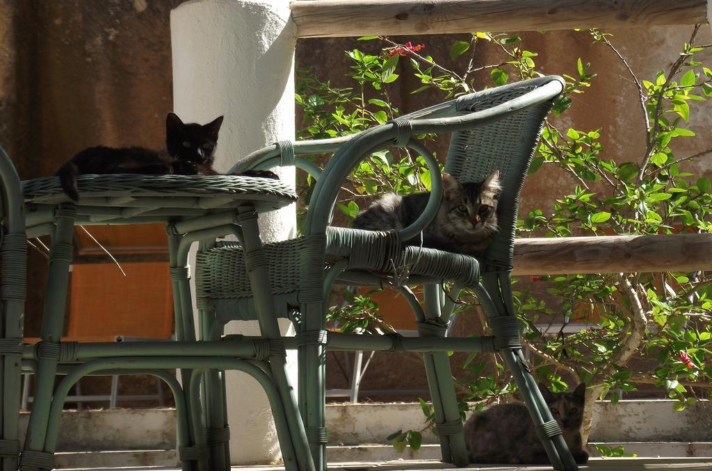 L'Oasi Villaggio Albergo Φαβινιάνα Εξωτερικό φωτογραφία